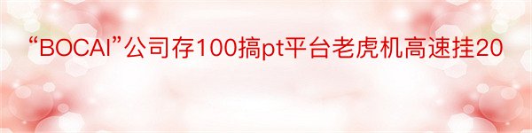 “BOCAI”公司存100搞pt平台老虎机高速挂20